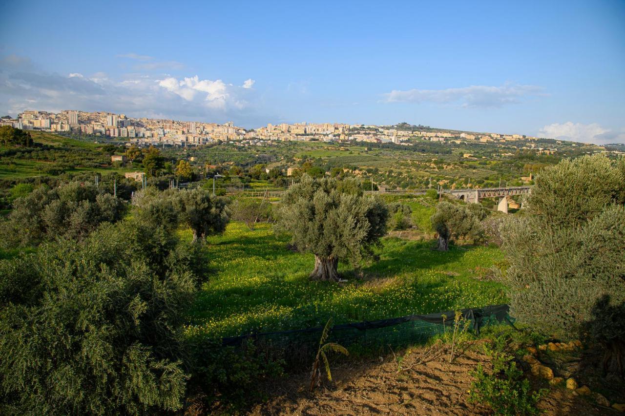 Villa Caterina Agrigento Zewnętrze zdjęcie