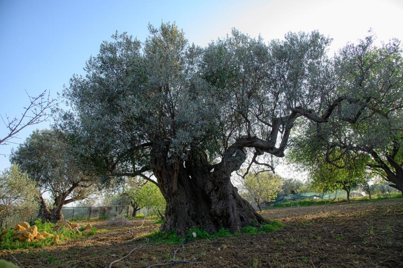 Villa Caterina Agrigento Zewnętrze zdjęcie