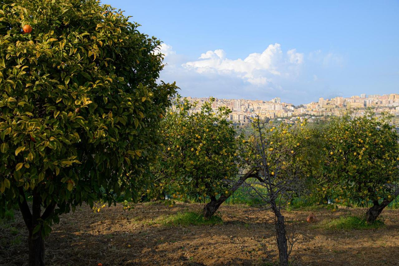 Villa Caterina Agrigento Zewnętrze zdjęcie